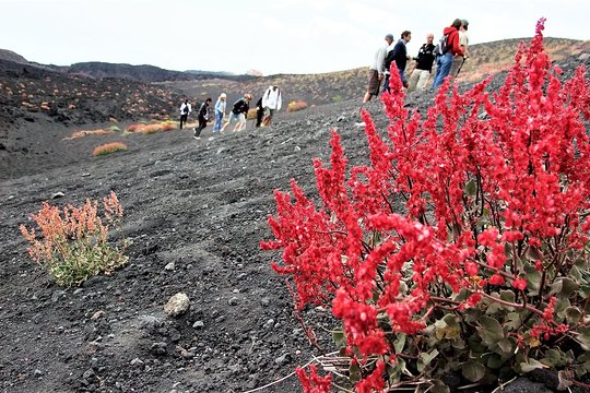 Tour image 2